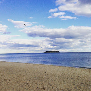 Meet your Posher, Trevor